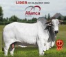 Touro lÃ­der do SumÃ¡rio AlianÃ§a 2022 